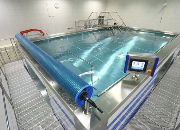 Fusion Movable Floor Pool Treadmill
